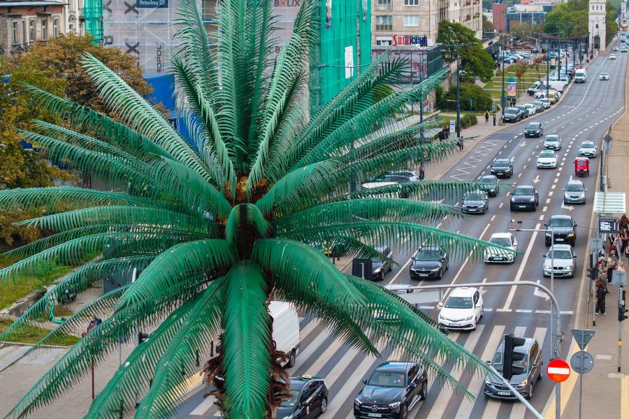 Palma w centrum ronda de Gaulle'a dominuje nad ruchem samochodowym na zatłoczonej ulicy.