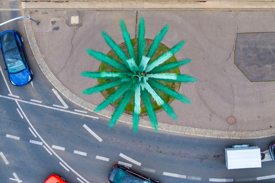 Rondo de Gaulle'a z palmą w centrum oraz ruch samochodowy wokół, widok z góry.
