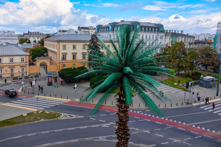 Palma w centrum ronda de Gaulle'a z widokiem na okoliczne budynki, ruch uliczny i przechodniów.