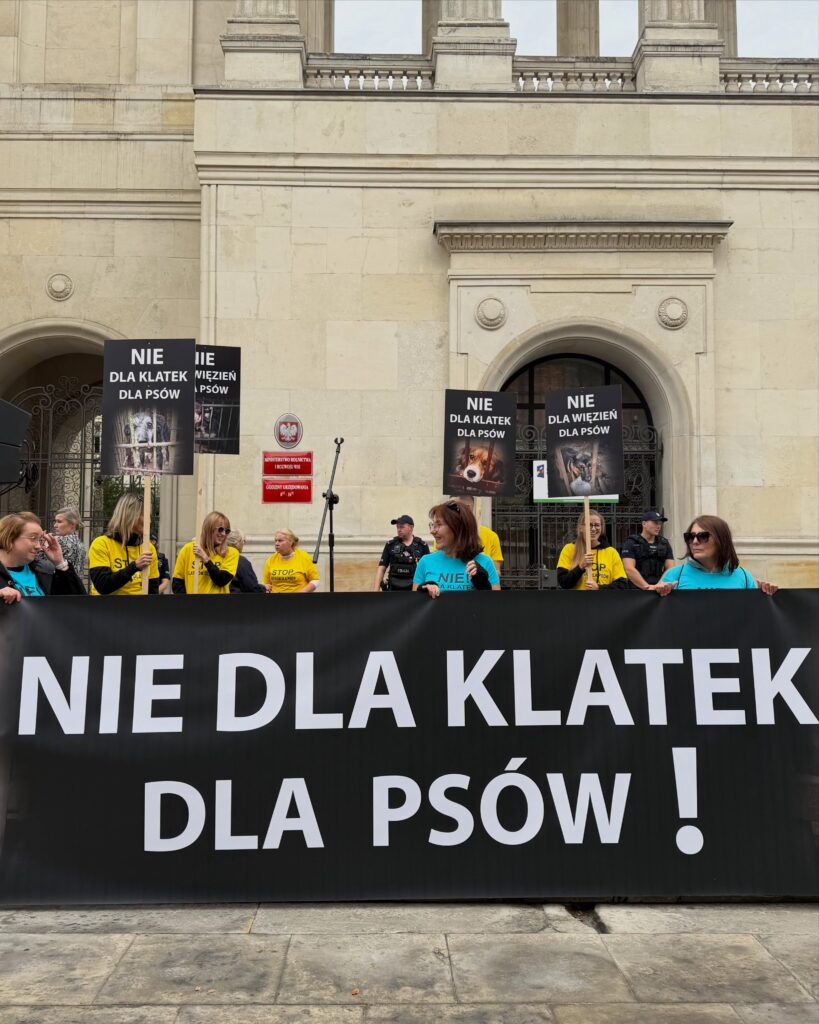Uczestnicy protestu trzymają transparent z napisem „NIE DLA KLATEK DLA PSÓW!” przed kamiennym budynkiem.