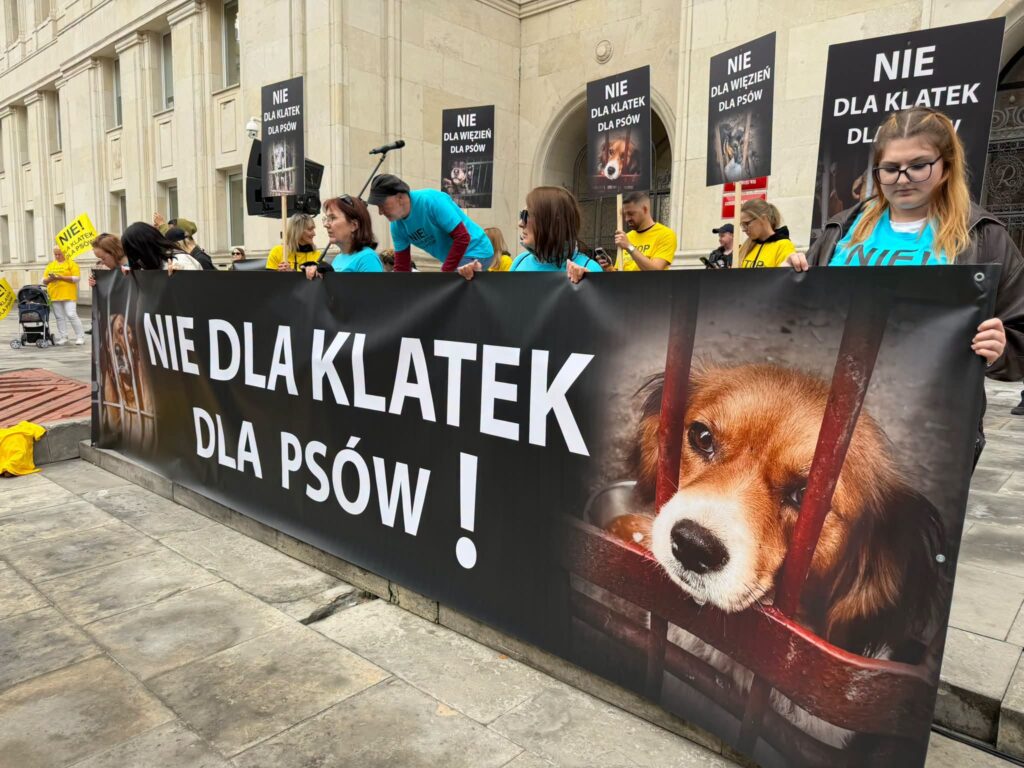 Uczestnicy protestu trzymają transparent „NIE DLA KLATEK DLA PSÓW!” z wizerunkiem psa w klatce, przed budynkiem.