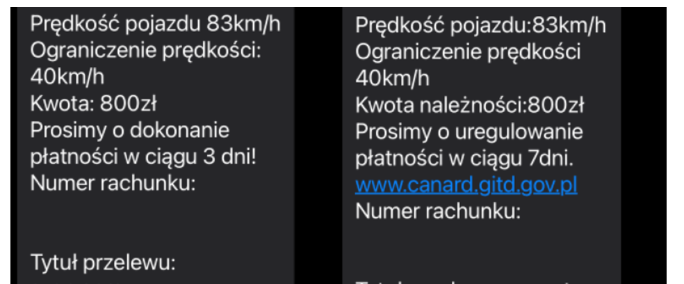 Dwa zestawione obok siebie komunikaty o mandacie za przekroczenie prędkości, z kwotą 800 zł i adresem www.canard.gitd.gov.pl.