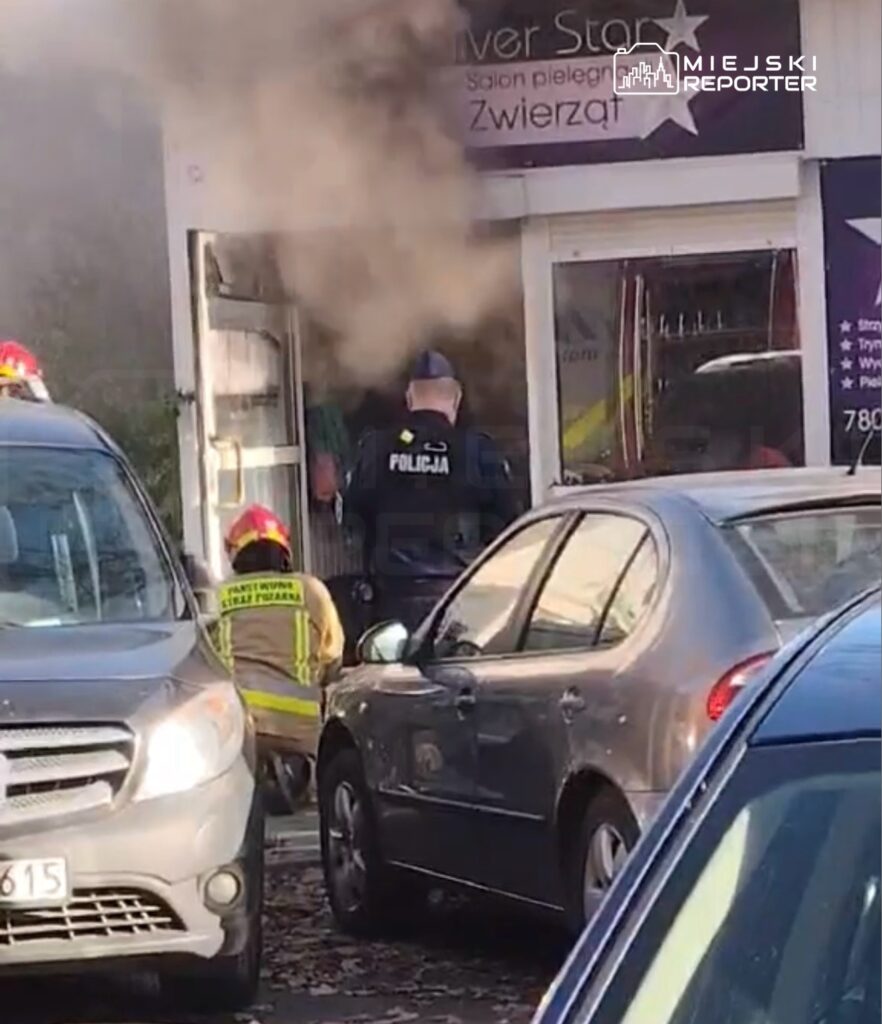 Strażak i policjant przy zadymionym wejściu do salonu pielęgnacji zwierząt, między zaparkowanymi samochodami.