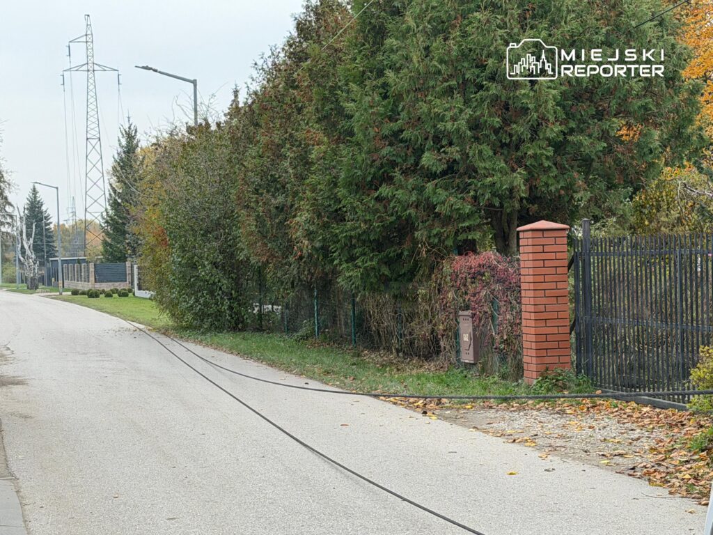 Czarny przewód leży wzdłuż asfaltowej drogi przy ogrodzeniu i zarośniętej posesji.