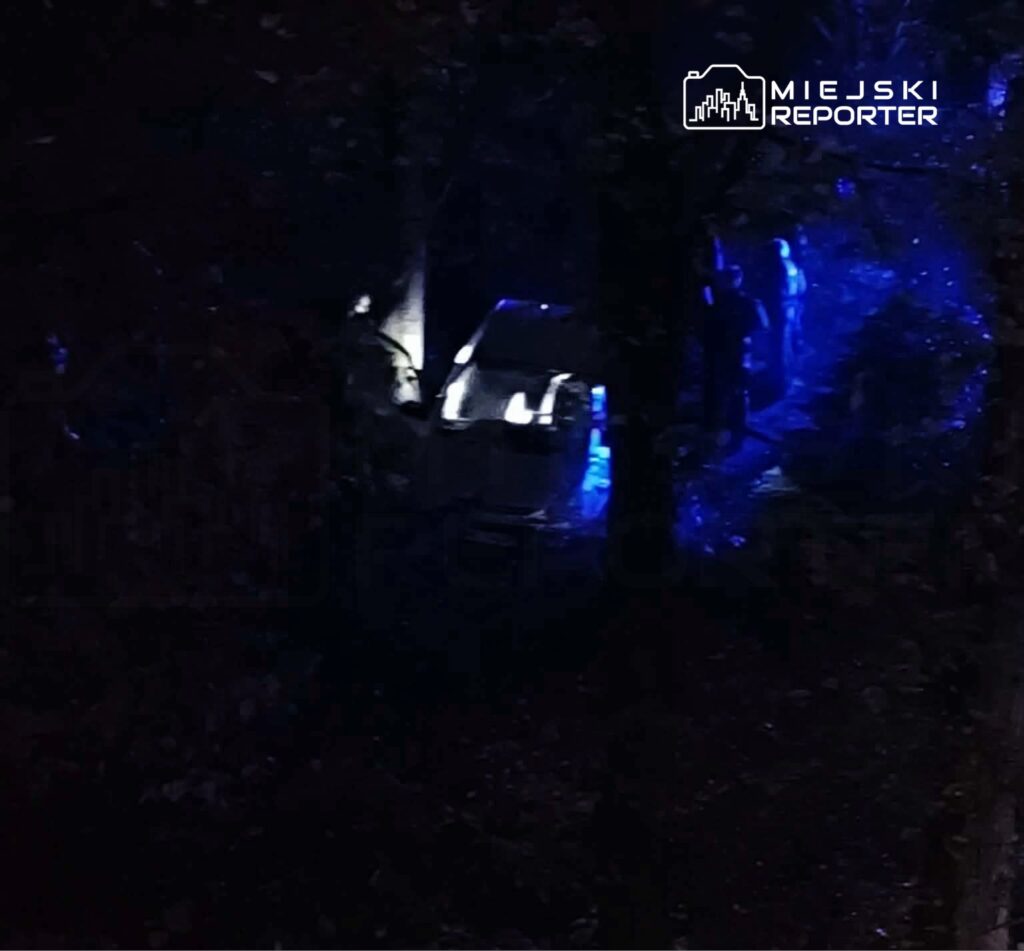 Samochód osobowy oświetlony niebieskimi światłami pojazdu służb na ciemnej, zadrzewionej drodze nocą.