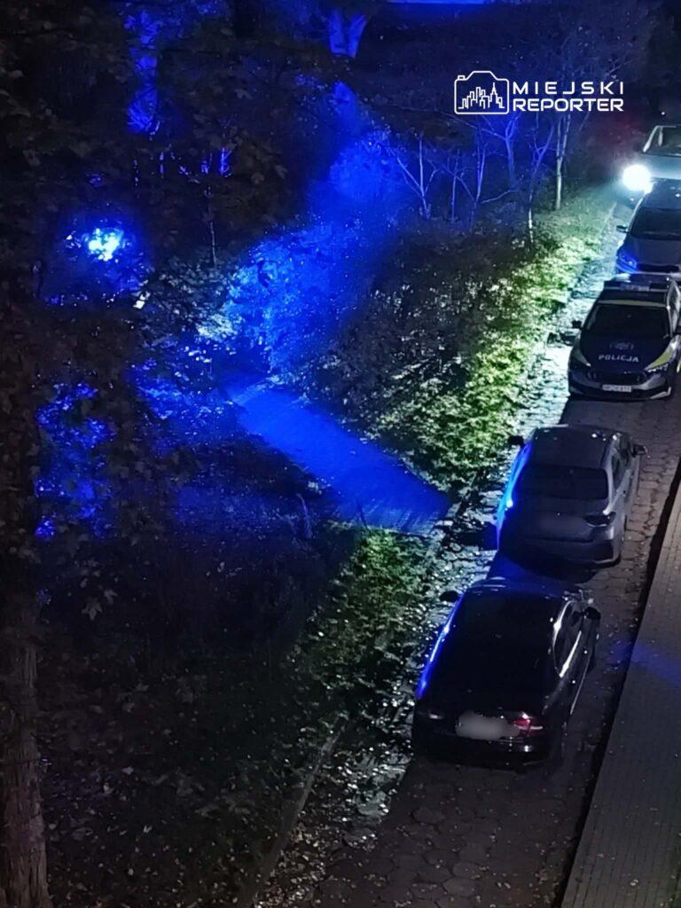 Radiowóz i zaparkowane samochody przy oświetlonej na niebiesko, zadrzewionej ulicy nocą.