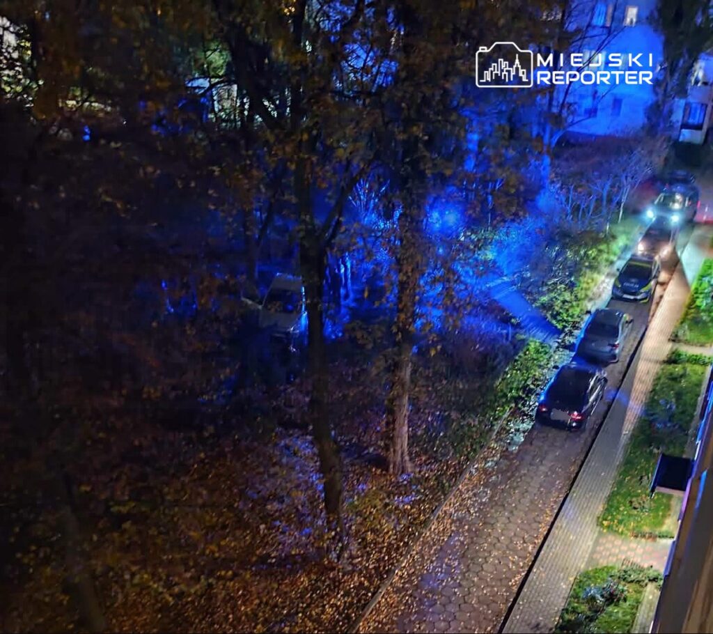 Radiowozy oświetlają na niebiesko drzewa i zaparkowane auta przy brukowanej ulicy nocą.