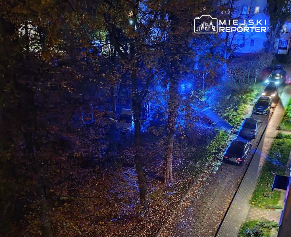 Nocna ulica oświetlona niebieskimi światłami służb, przy chodniku stoją zaparkowane samochody.