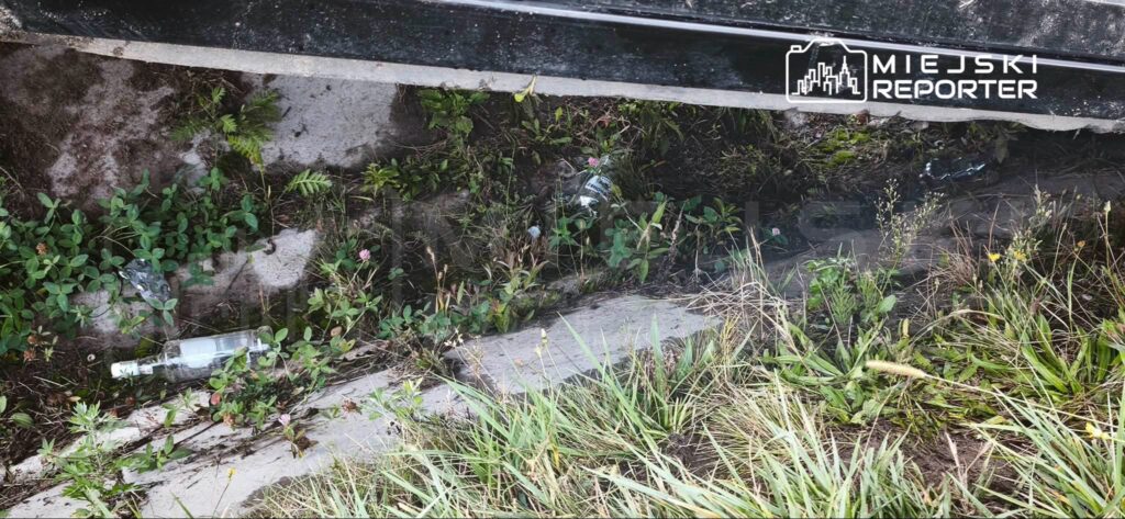 Zarośnięty rów przy drodze, z betonowymi płytami, trawą i porzuconymi śmieciami.