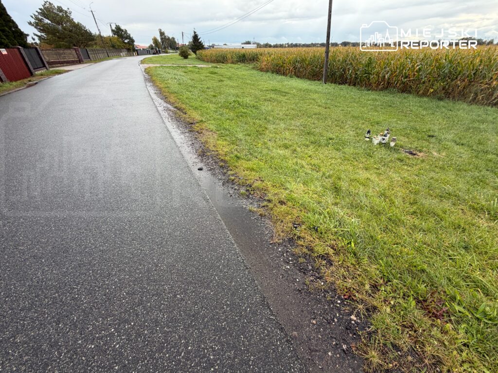 Asfaltowa droga biegnie wzdłuż trawiastego pobocza, pola kukurydzy i ogrodzeń; na trawie stoją małe figurki.