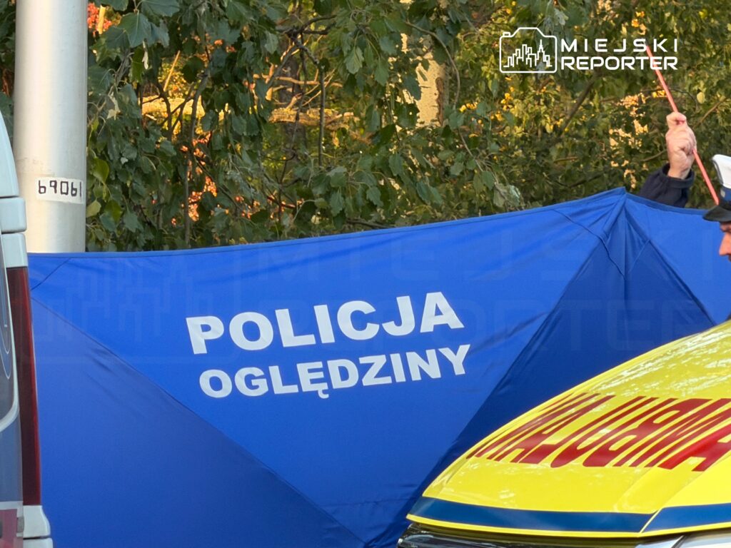 Niebieski parawan policyjny z napisem „POLICJA OGLĘDZINY” przy radiowozie, na tle drzew.