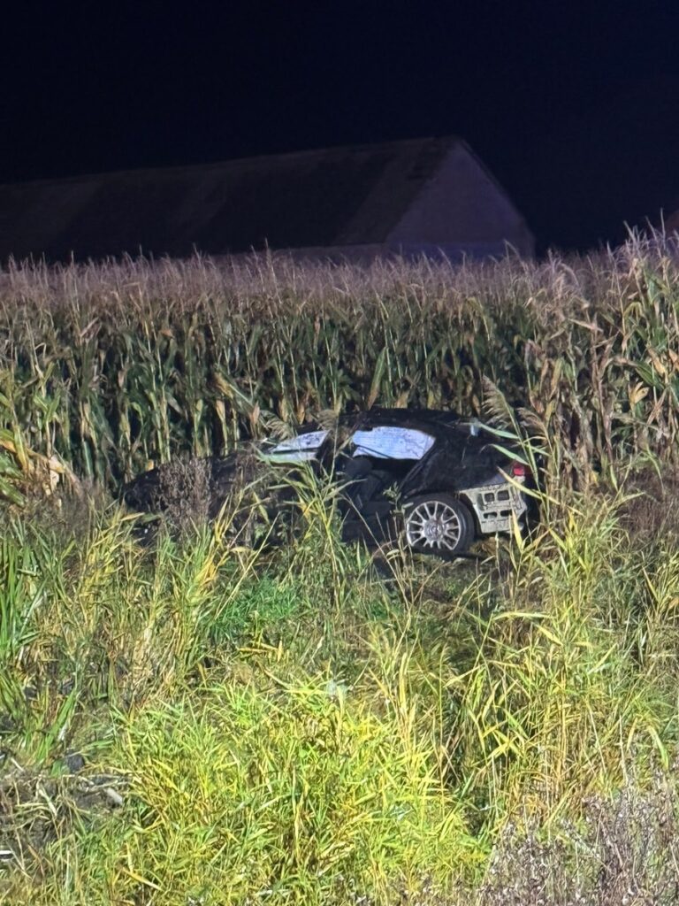 Uszkodzony samochód leży na boku w wysokiej trawie przy polu kukurydzy nocą.