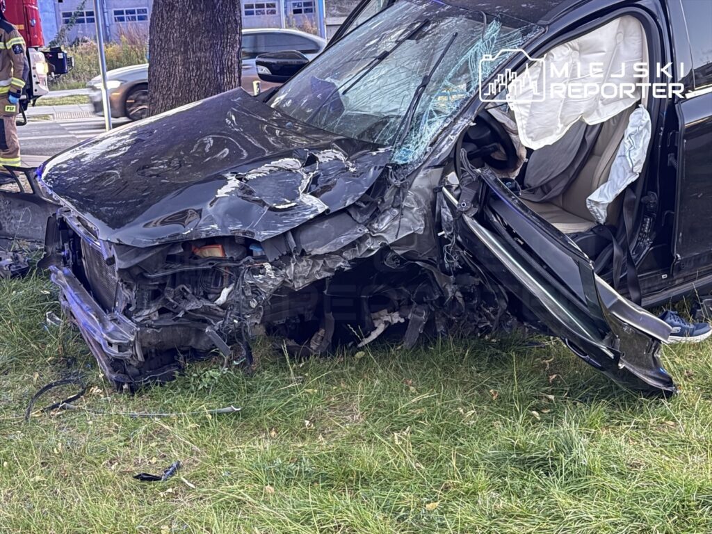 Mocno rozbity samochód z otwartymi poduszkami powietrznymi stoi na trawniku przy drzewie.