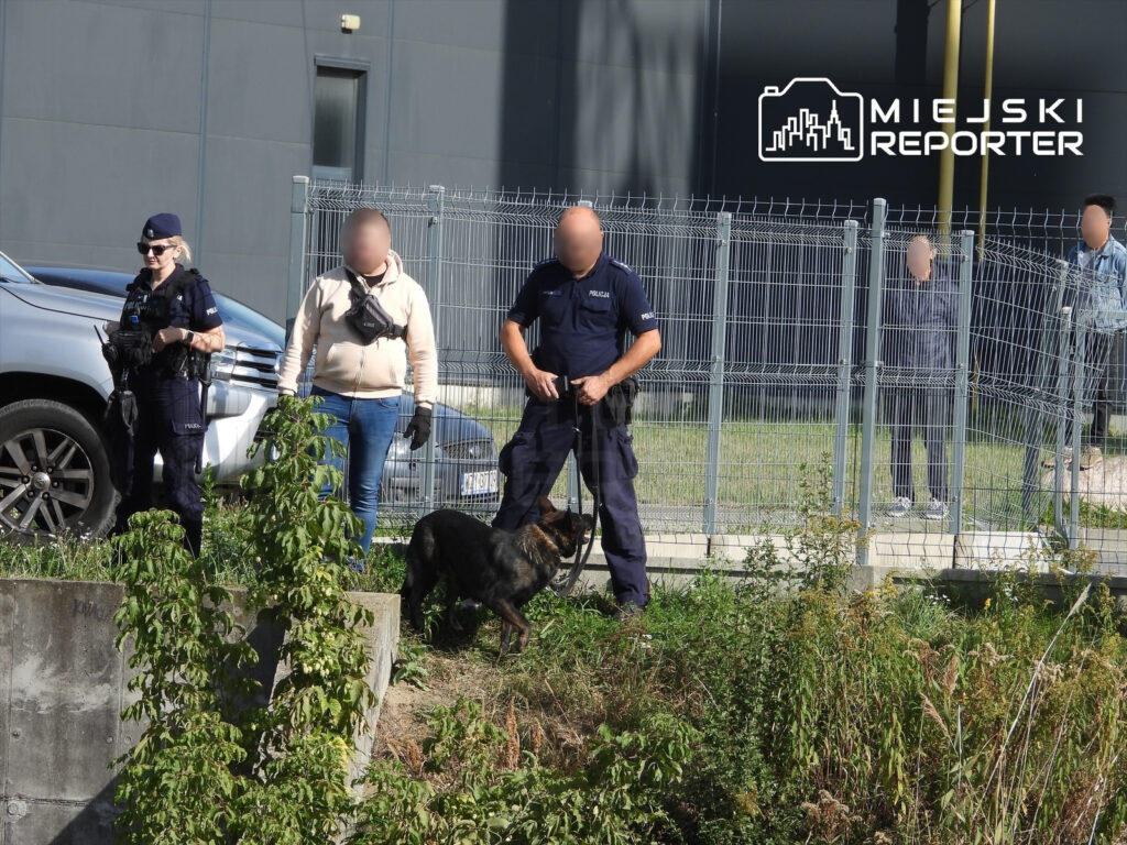 Policjanci z psem służbowym stoją przy ogrodzeniu i zaroślach obok zaparkowanych samochodów.