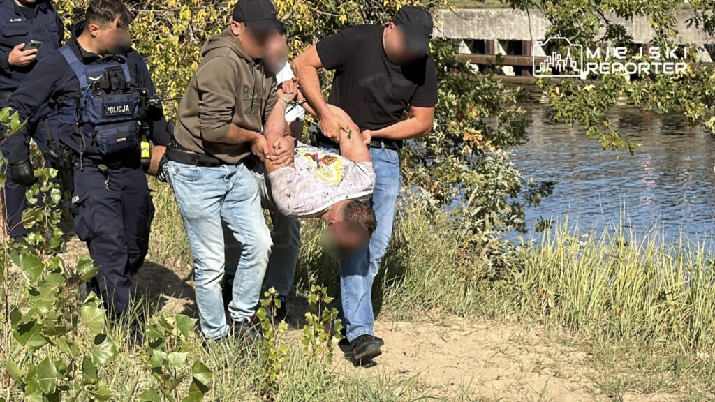 Policjanci i dwaj mężczyźni niosą zakutego w kajdanki zatrzymanego nad brzegiem kanału, wśród trzcin.