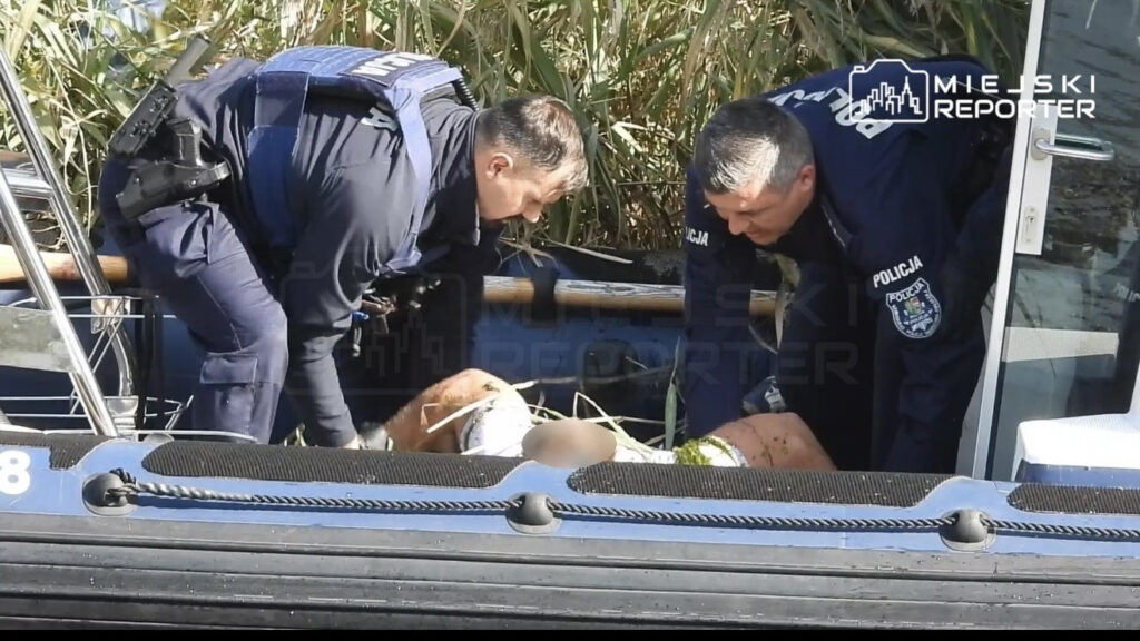 Dwóch policjantów wyciąga mężczyznę z trzcin do policyjnej łodzi przy brzegu kanału.