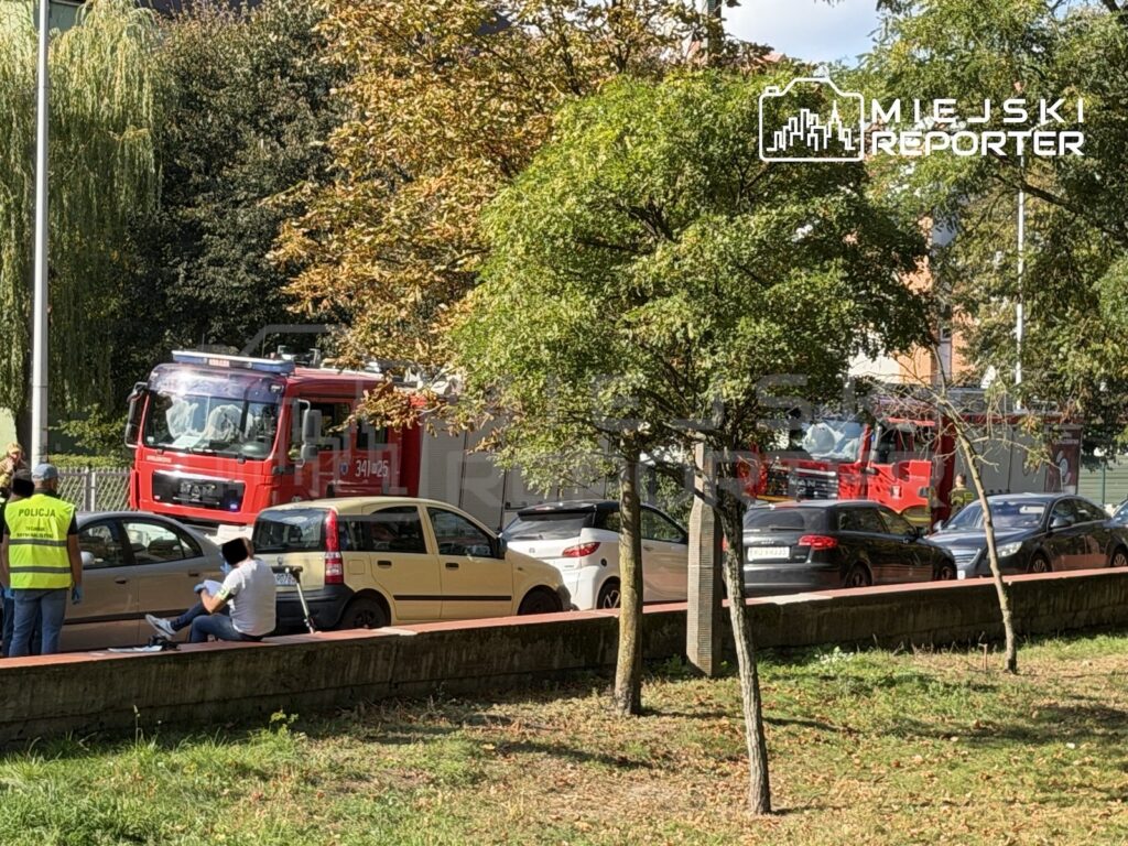 Czerwone wozy strażackie i samochody stoją na parkingu wśród drzew, obok policjant i siedzący mężczyzna.