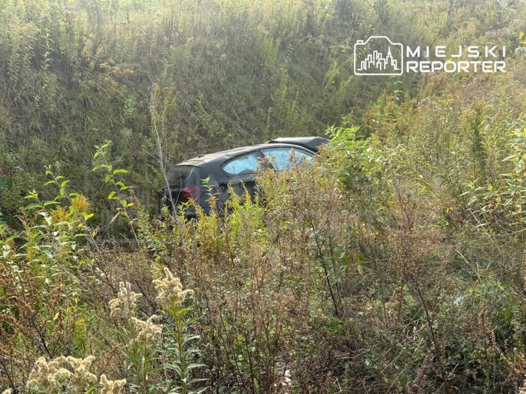 Ciemne auto osobowe częściowo ukryte w gęstych zaroślach na porośniętym roślinnością terenie.