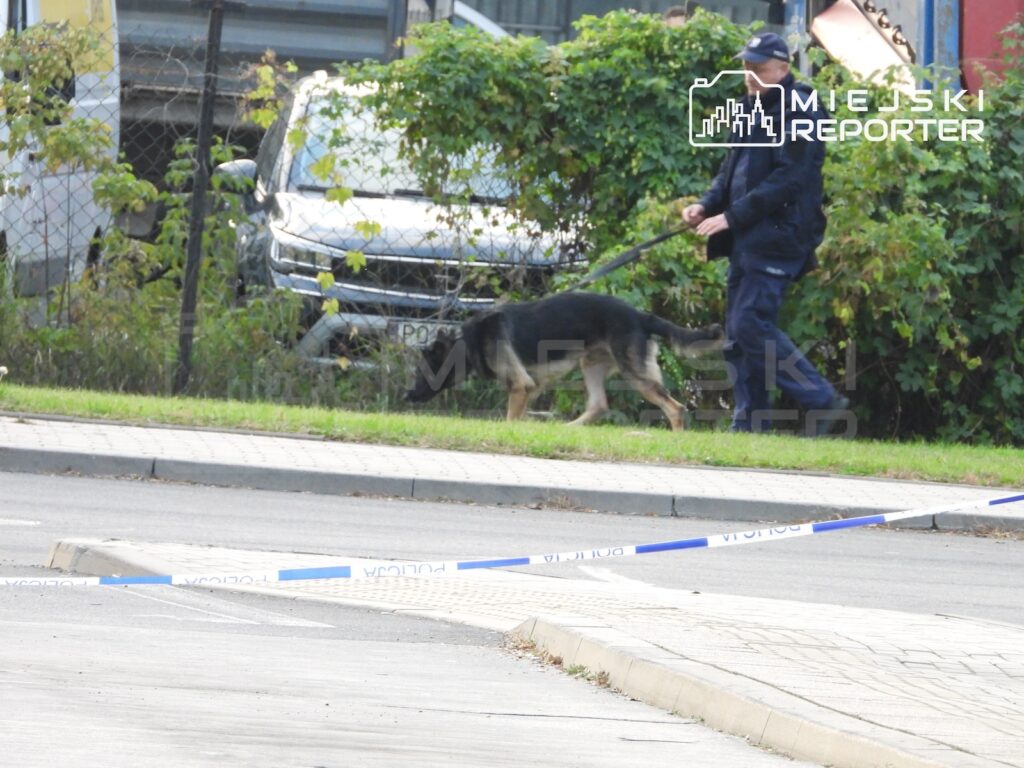 Policjant prowadzi psa na smyczy przy ogrodzeniu, za taśmą policyjną rozciągniętą w poprzek jezdni.