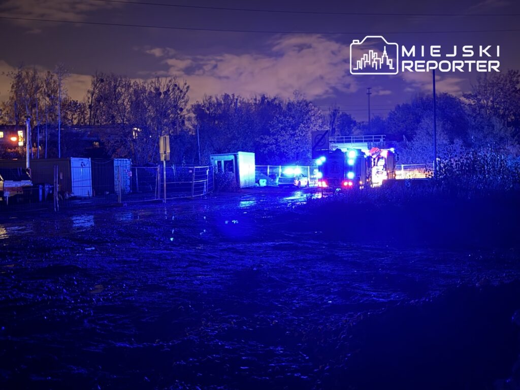 Pojazdy służb ratunkowych z niebieskimi sygnałami świetlnymi na oświetlonym terenie przy torach kolejowych nocą