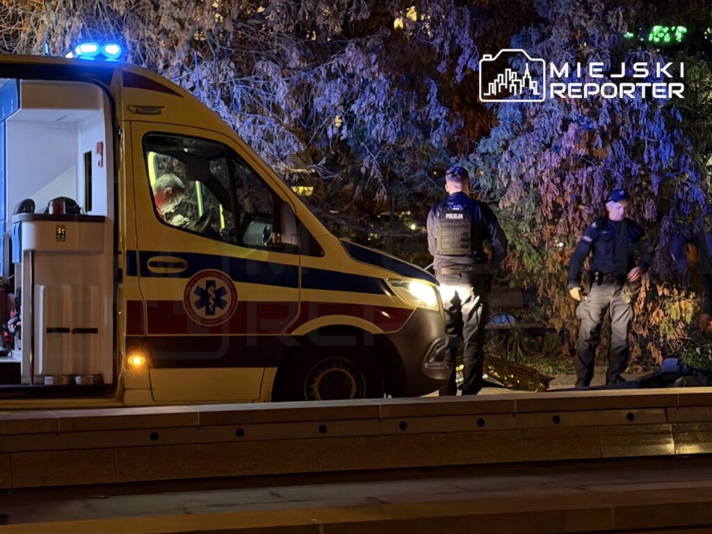 Karetka pogotowia i dwóch funkcjonariuszy w mundurach stoją nocą przy zaroślach za barierą drogową.