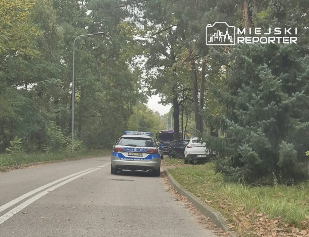 Radiowóz policyjny stoi na zalesionej drodze za kilkoma samochodami zaparkowanymi przy poboczu