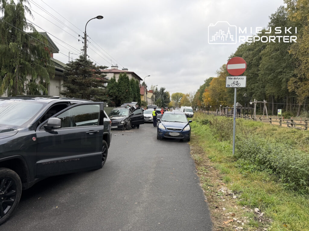 Samochody i funkcjonariusze na wąskiej ulicy, obok znaku zakazu wjazdu i zarośniętego pobocza.