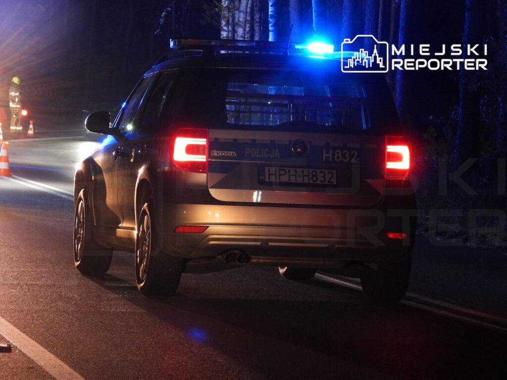 Radiowóz z włączonym niebieskim światłem stoi nocą na drodze, obok pachołków drogowych.