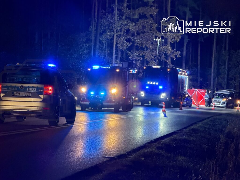Radiowozy policji i wozy strażackie z włączonymi światłami stoją na nocnej drodze przy pachołkach i rozbitym aucie.